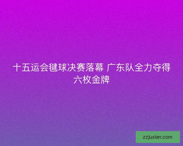 十五运会毽球决赛落幕 广东队全力夺得六枚金牌